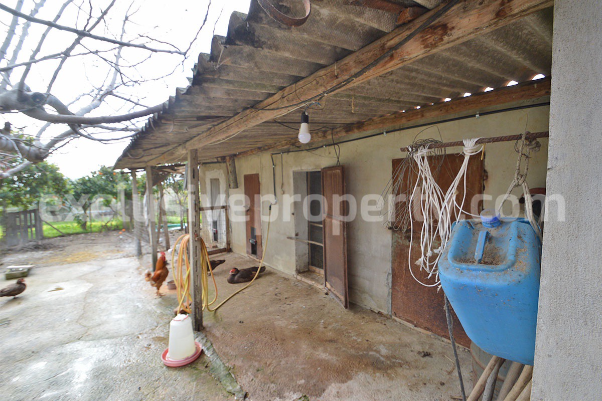 Country House with Olive Grove and Sea View - 5 Minutes from the Adriatic Coast - Abruzzo - Italy