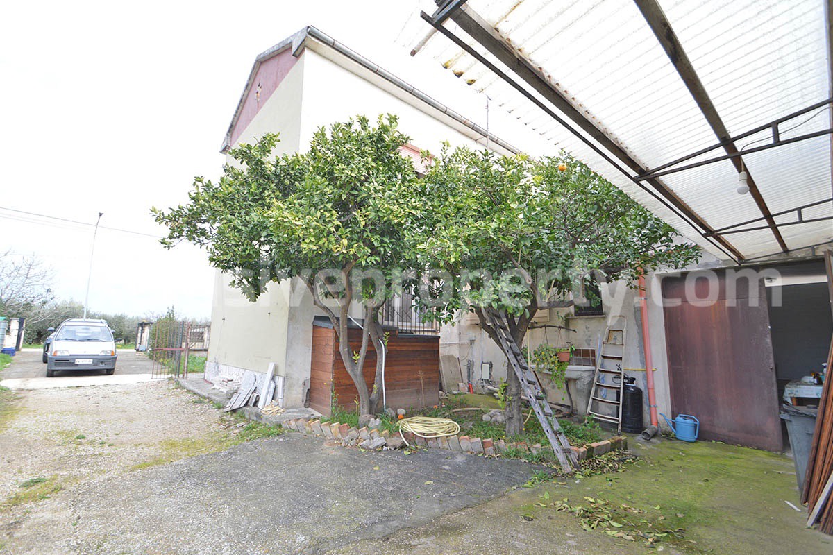 Country House with Olive Grove and Sea View - 5 Minutes from the Adriatic Coast - Abruzzo - Italy