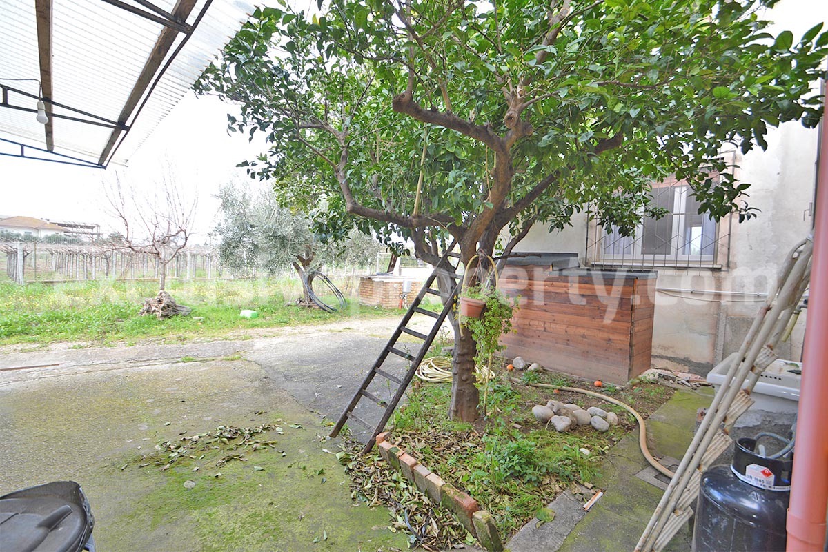 Country House with Olive Grove and Sea View - 5 Minutes from the Adriatic Coast - Abruzzo - Italy