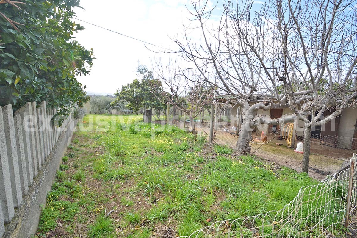 Country House with Olive Grove and Sea View - 5 Minutes from the Adriatic Coast - Abruzzo - Italy