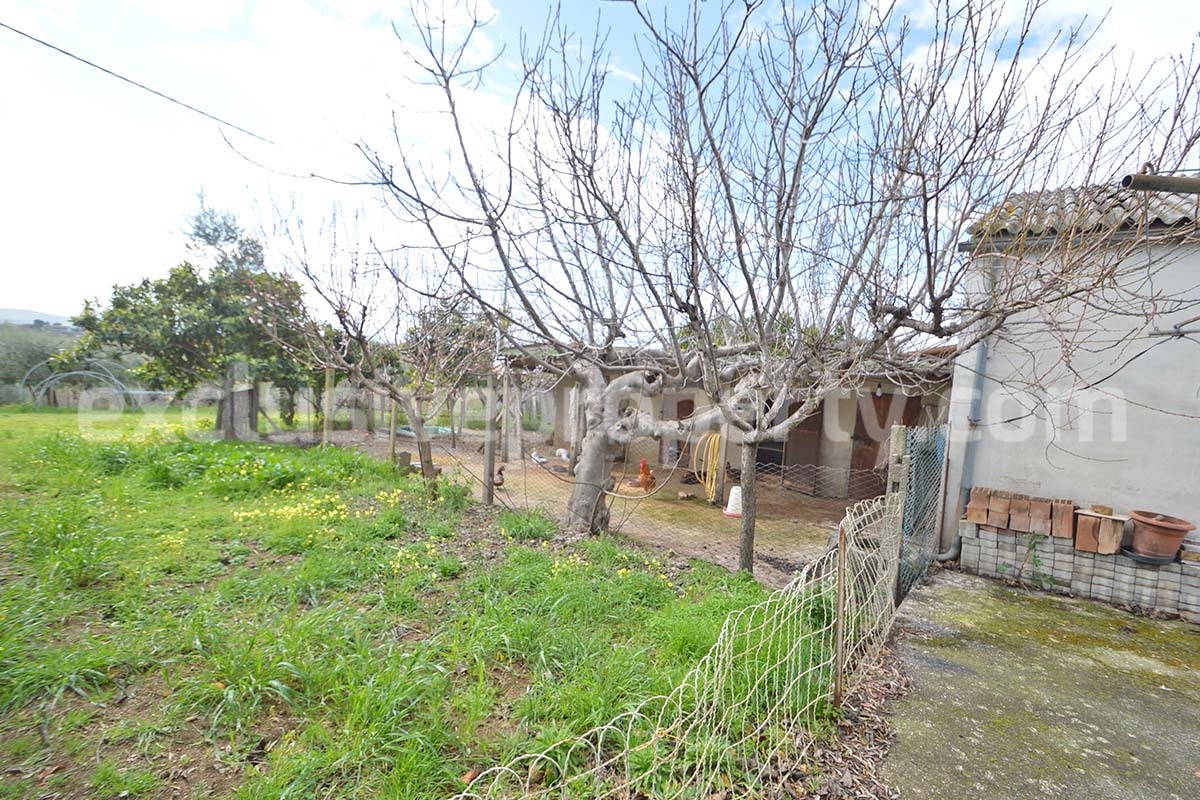 Country House with Olive Grove and Sea View - 5 Minutes from the Adriatic Coast - Abruzzo - Italy