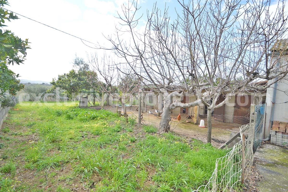 Country House with Olive Grove and Sea View - 5 Minutes from the Adriatic Coast - Abruzzo - Italy