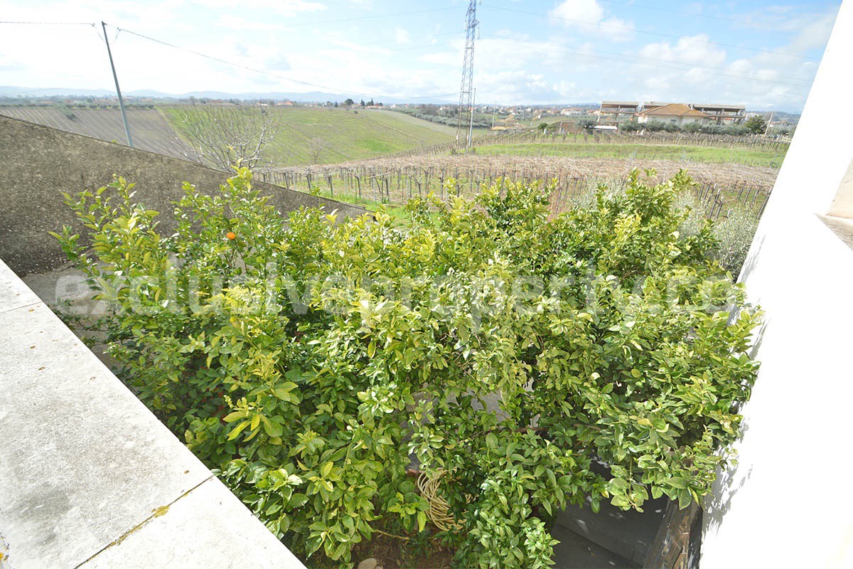 Country House with Olive Grove and Sea View - 5 Minutes from the Adriatic Coast - Abruzzo - Italy