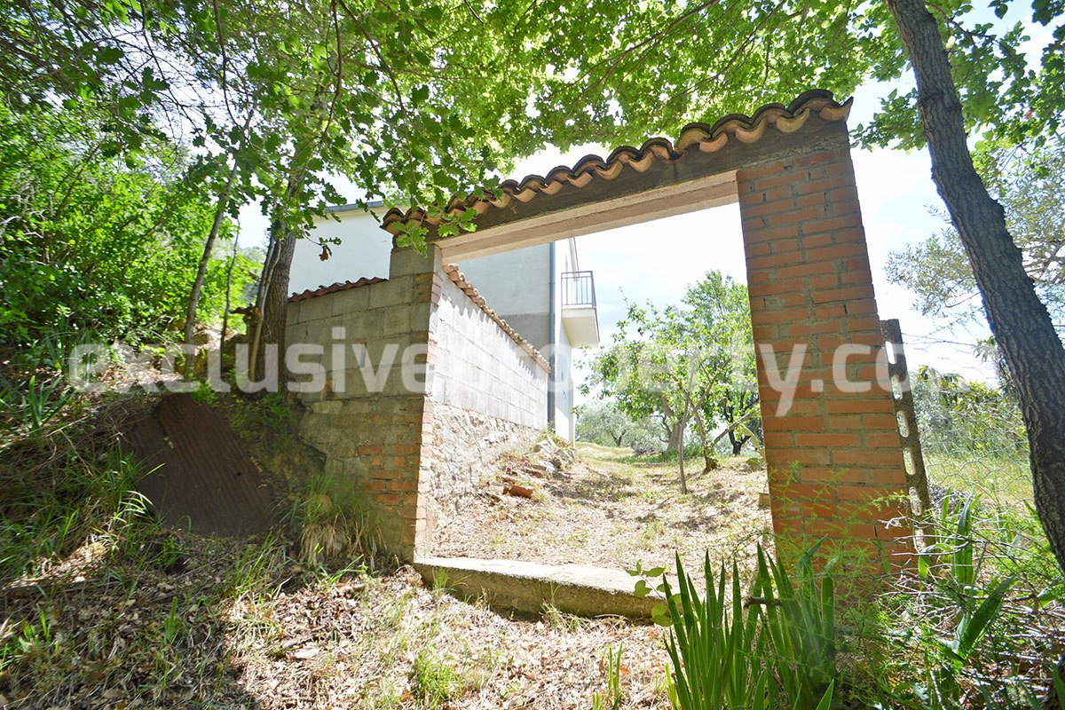 House surrounded by nature with land and centuries-old olive trees for sale 6