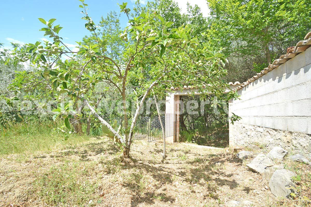 House surrounded by nature with land and centuries-old olive trees for sale 5