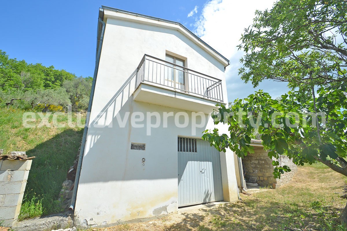 House surrounded by nature with land and centuries-old olive trees for sale 3