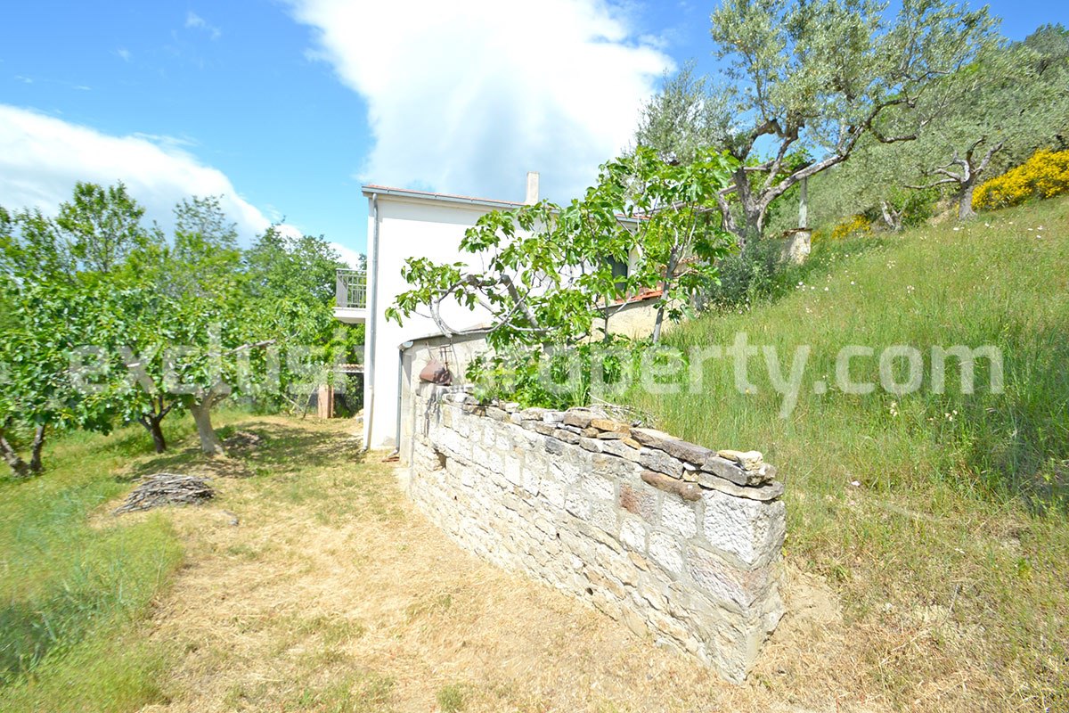 House surrounded by nature with land and centuries-old olive trees for sale 8