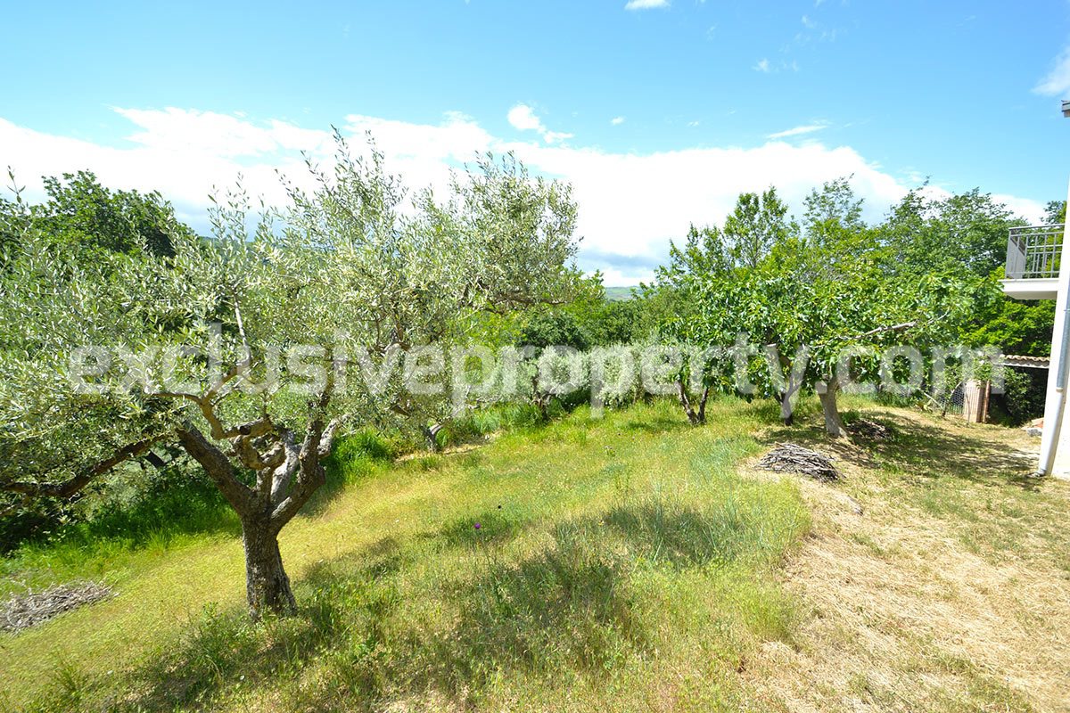 House surrounded by nature with land and centuries-old olive trees for sale 13