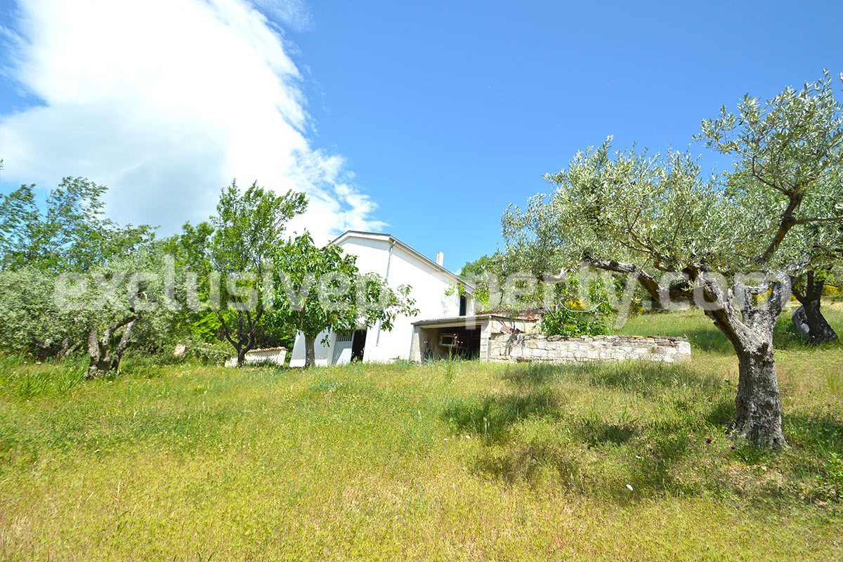 House surrounded by nature with land and centuries-old olive trees for sale 1