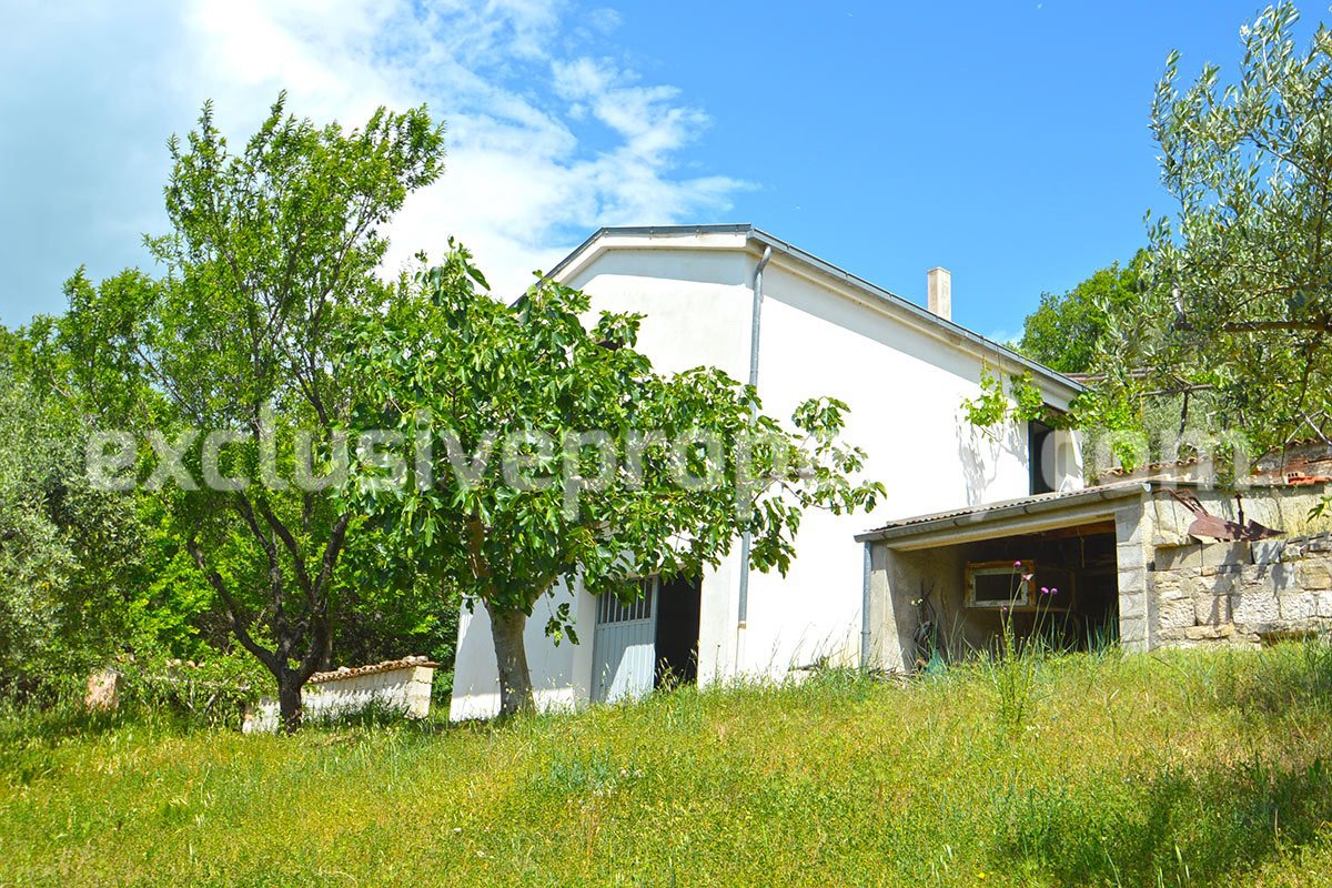 House surrounded by nature with land and centuries-old olive trees for sale 9