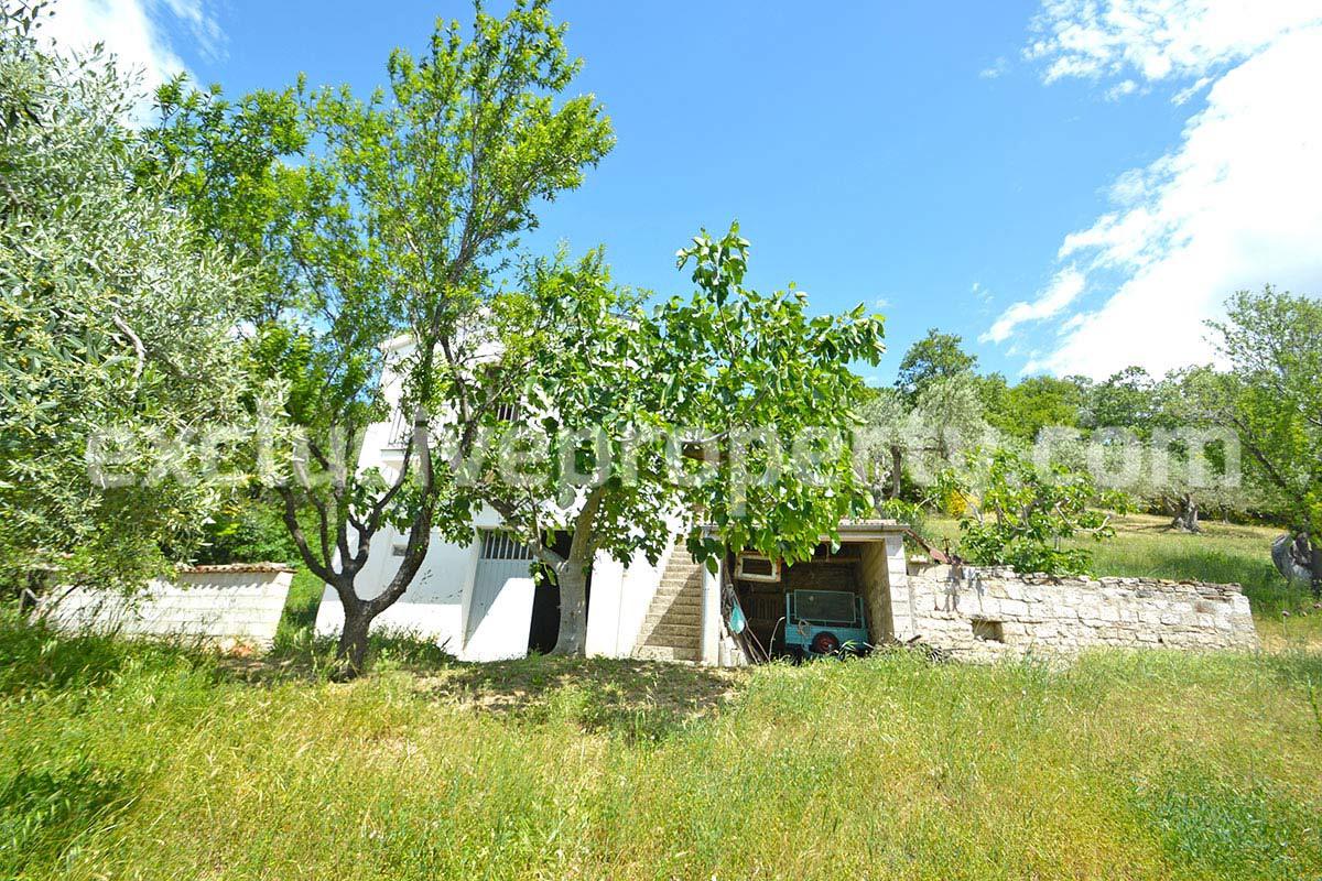 House surrounded by nature with land and centuries-old olive trees for sale