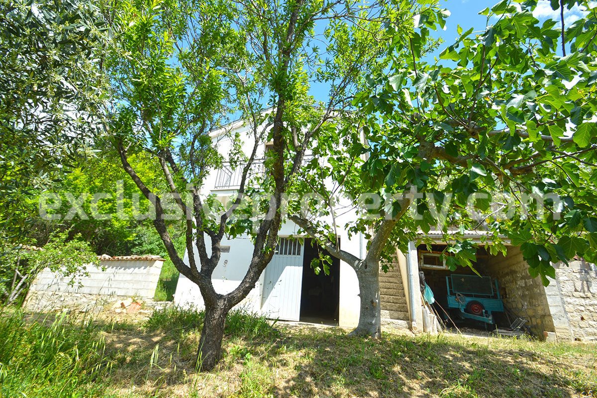 House surrounded by nature with land and centuries-old olive trees for sale 10
