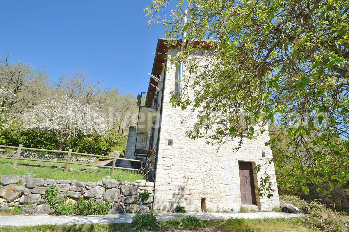 Restored Stone Property for Sale in Molise Italy with 2 Independent Apartments - 5 Hectares of Land and Pool