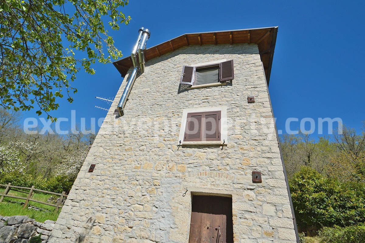 Restored Stone Property for Sale in Molise Italy with 2 Independent Apartments - 5 Hectares of Land and Pool