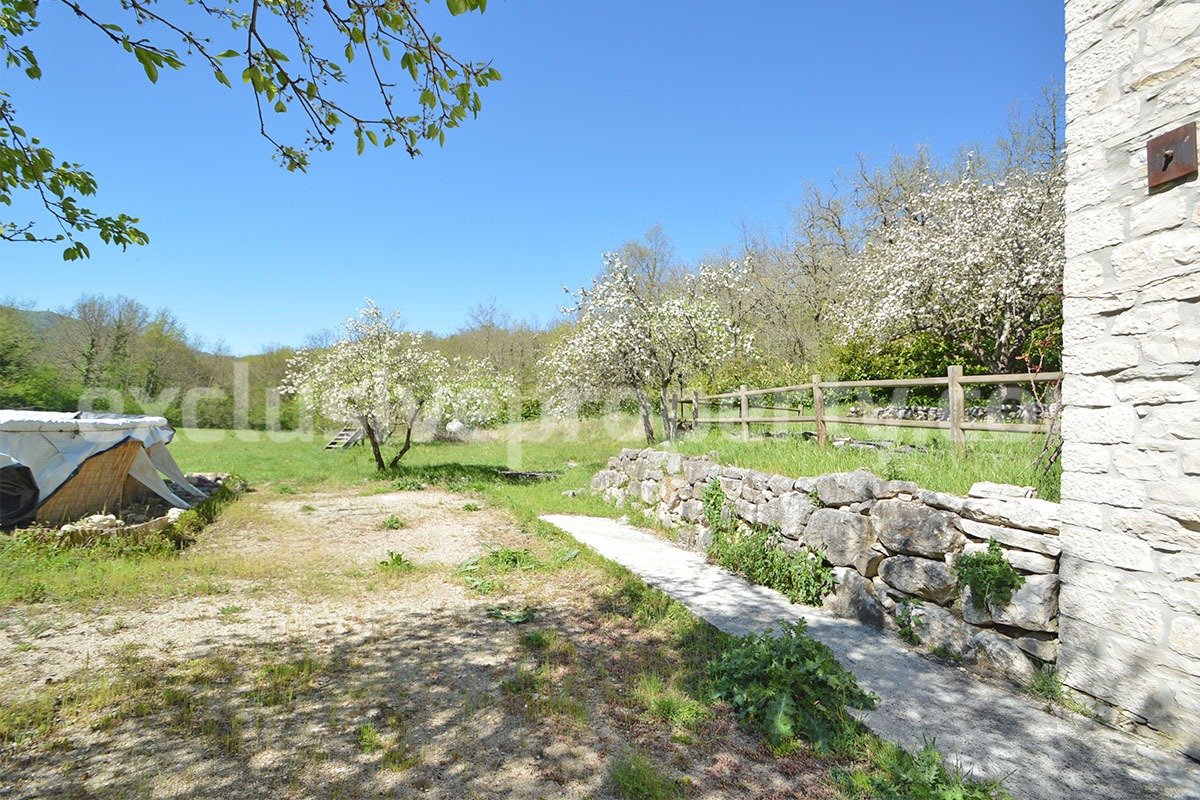 Restored Stone Property for Sale in Molise Italy with 2 Independent Apartments - 5 Hectares of Land and Pool