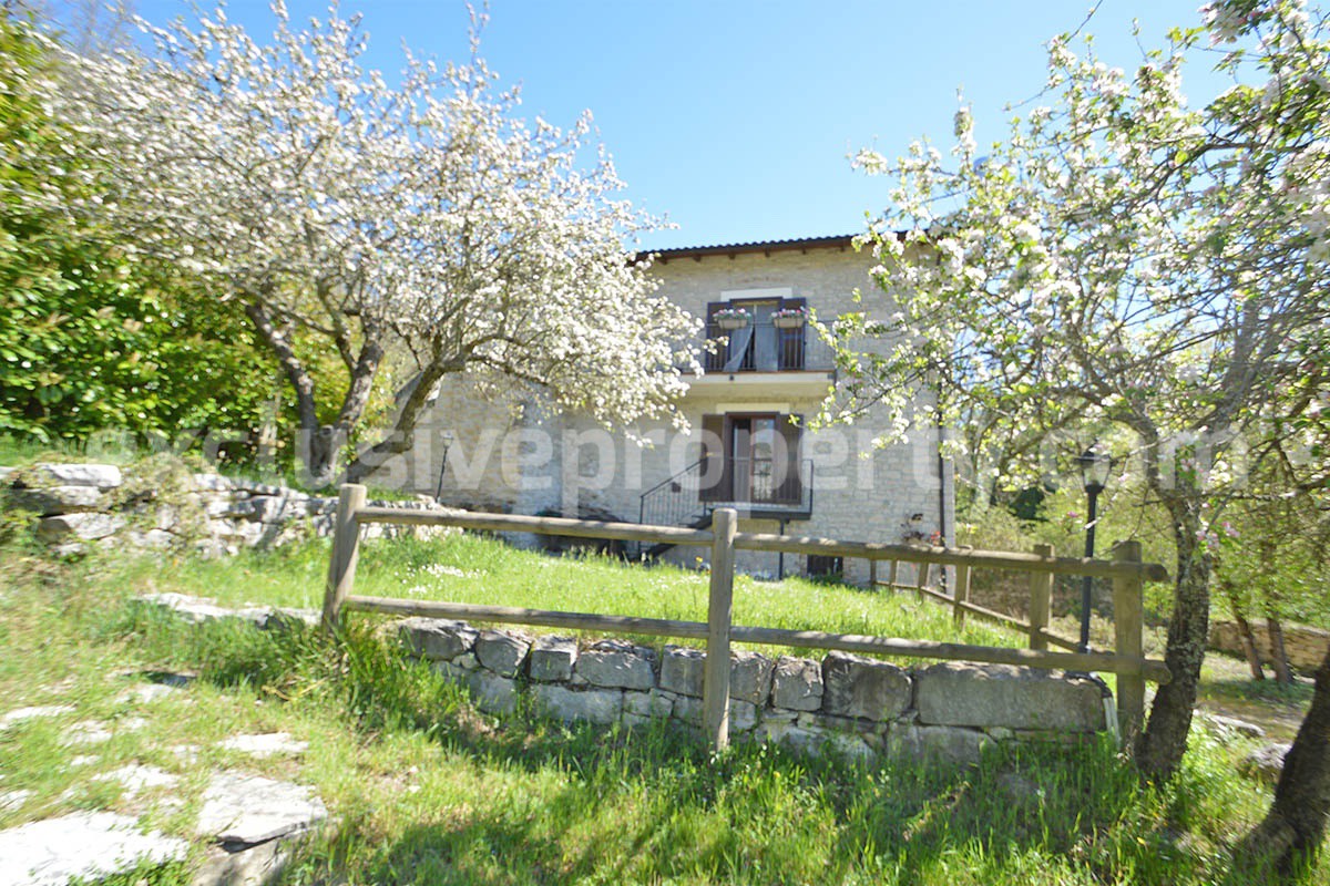 Restored Stone Property for Sale in Molise Italy with 2 Independent Apartments - 5 Hectares of Land and Pool