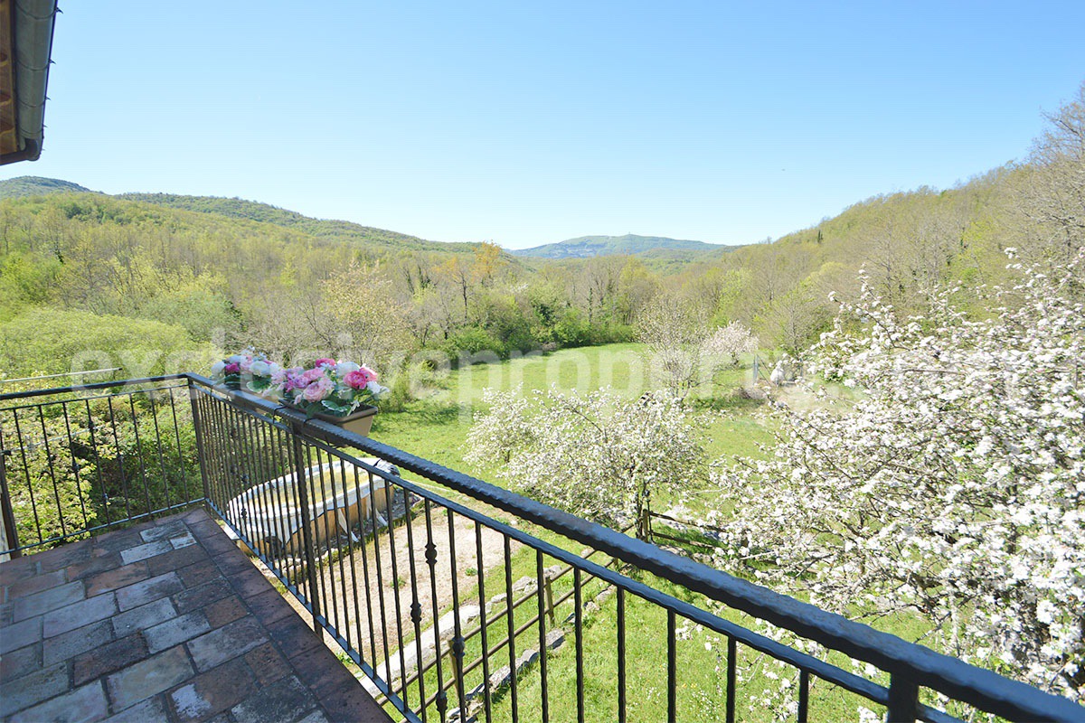 Restored Stone Property for Sale in Molise Italy with 2 Independent Apartments - 5 Hectares of Land and Pool