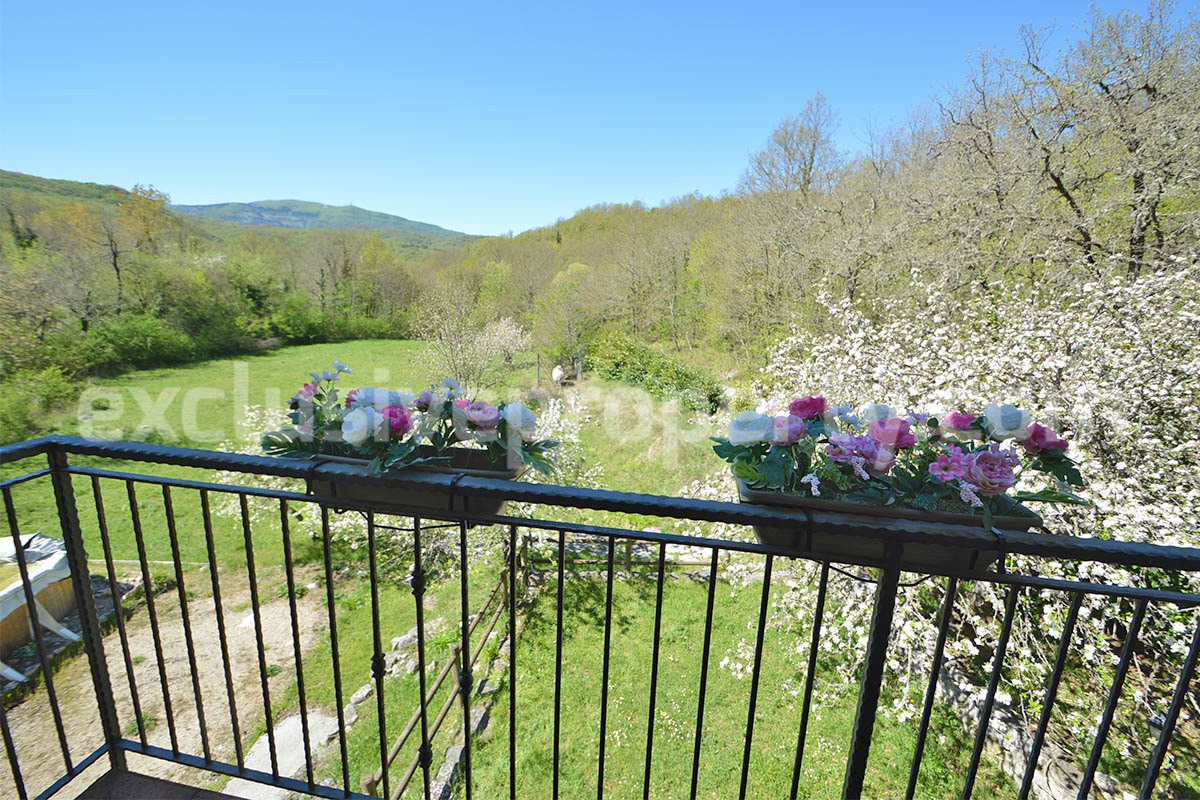 Restored Stone Property for Sale in Molise Italy with 2 Independent Apartments - 5 Hectares of Land and Pool