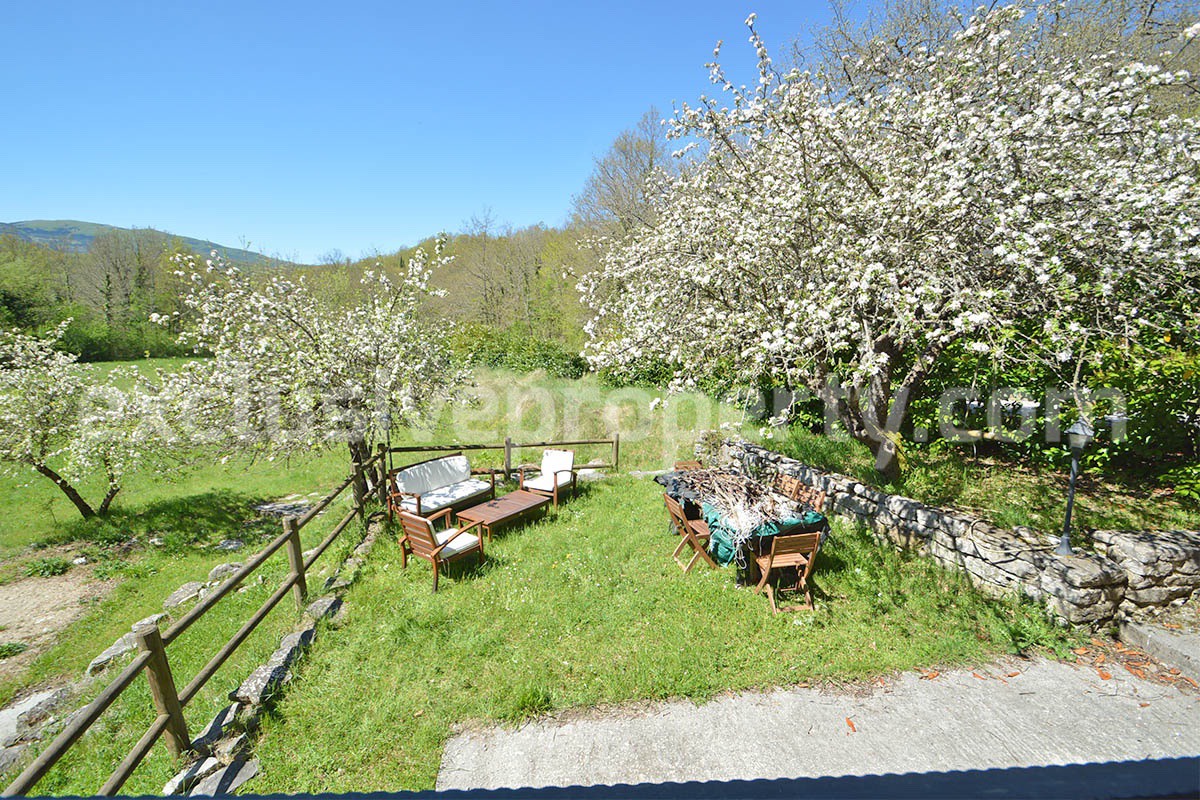 Restored Stone Property for Sale in Molise Italy with 2 Independent Apartments - 5 Hectares of Land and Pool