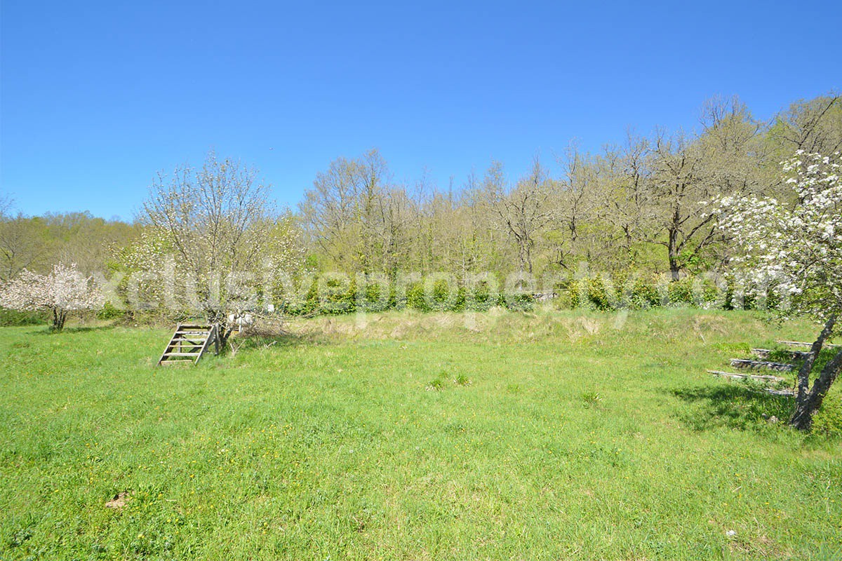 Restored Stone Property for Sale in Molise Italy with 2 Independent Apartments - 5 Hectares of Land and Pool