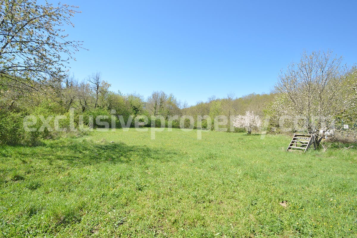 Restored Stone Property for Sale in Molise Italy with 2 Independent Apartments - 5 Hectares of Land and Pool