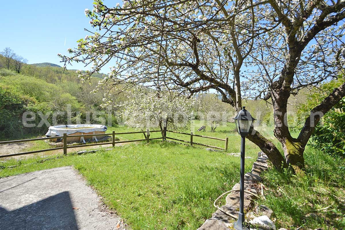 Restored Stone Property for Sale in Molise Italy with 2 Independent Apartments - 5 Hectares of Land and Pool