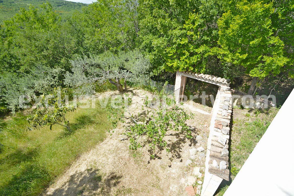 House surrounded by nature with land and centuries-old olive trees for sale