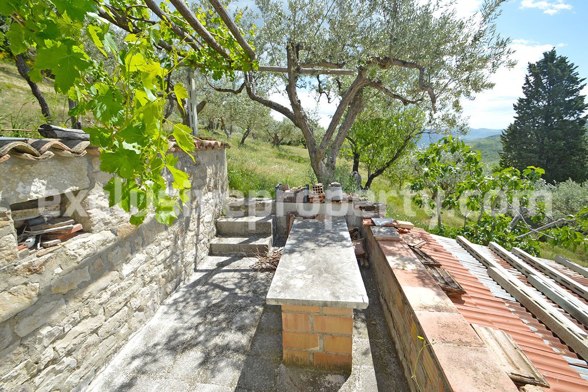 House surrounded by nature with land and centuries-old olive trees for sale 30