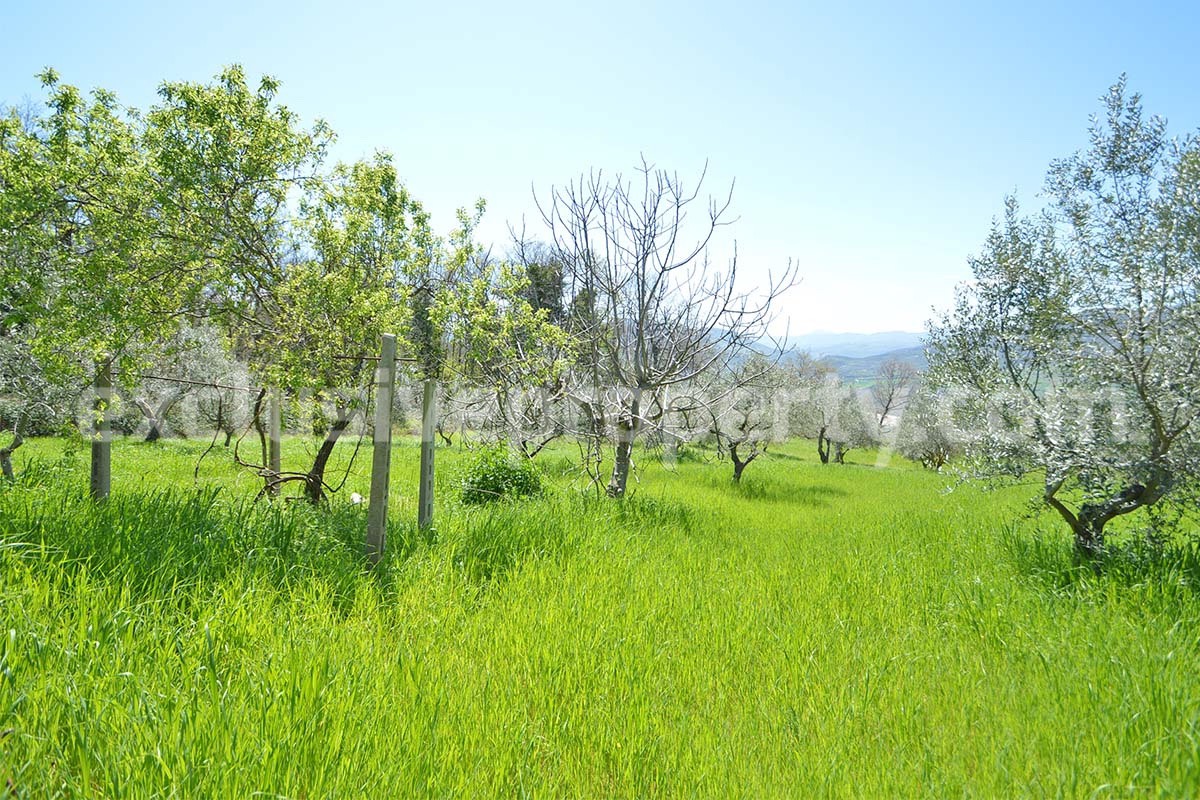 Spacious house with panoramic view of the valley for sale in Italy