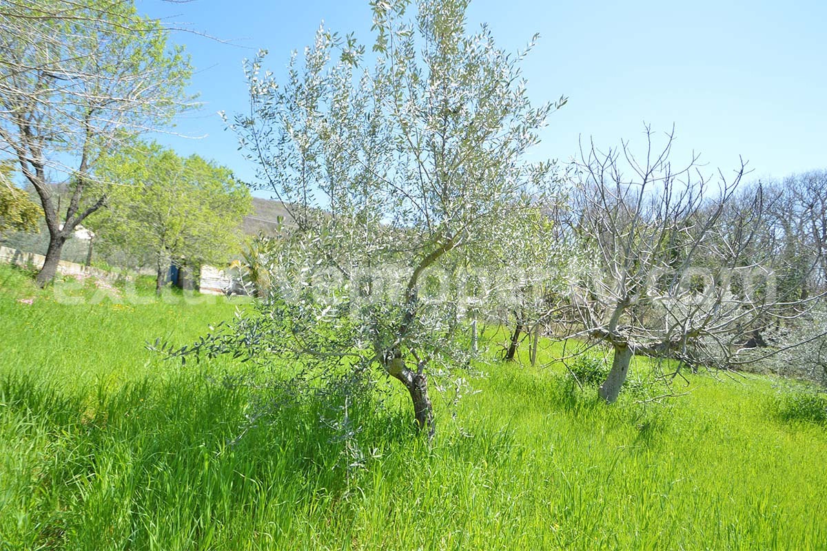 Spacious house with panoramic view of the valley for sale in Italy