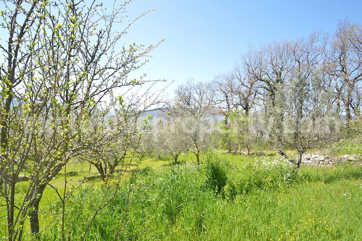 Spacious house with panoramic view of the valley for sale in Italy