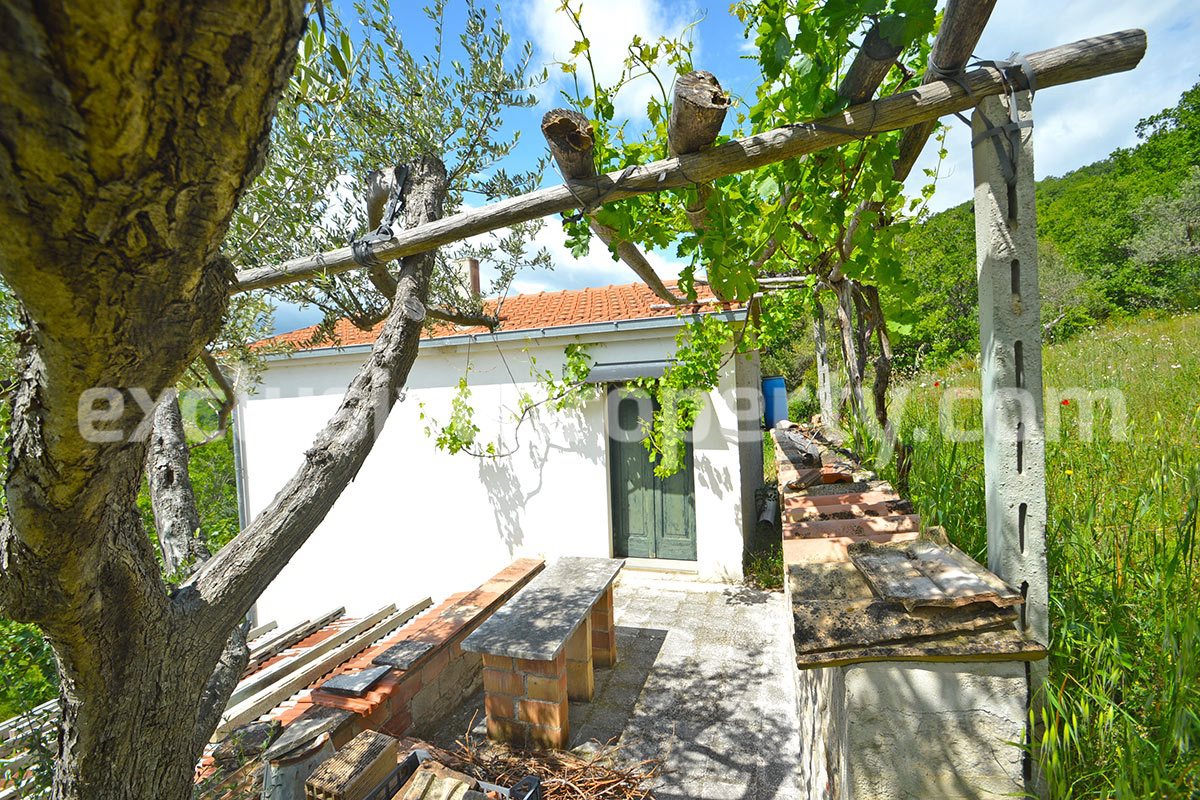 House surrounded by nature with land and centuries-old olive trees for sale 31