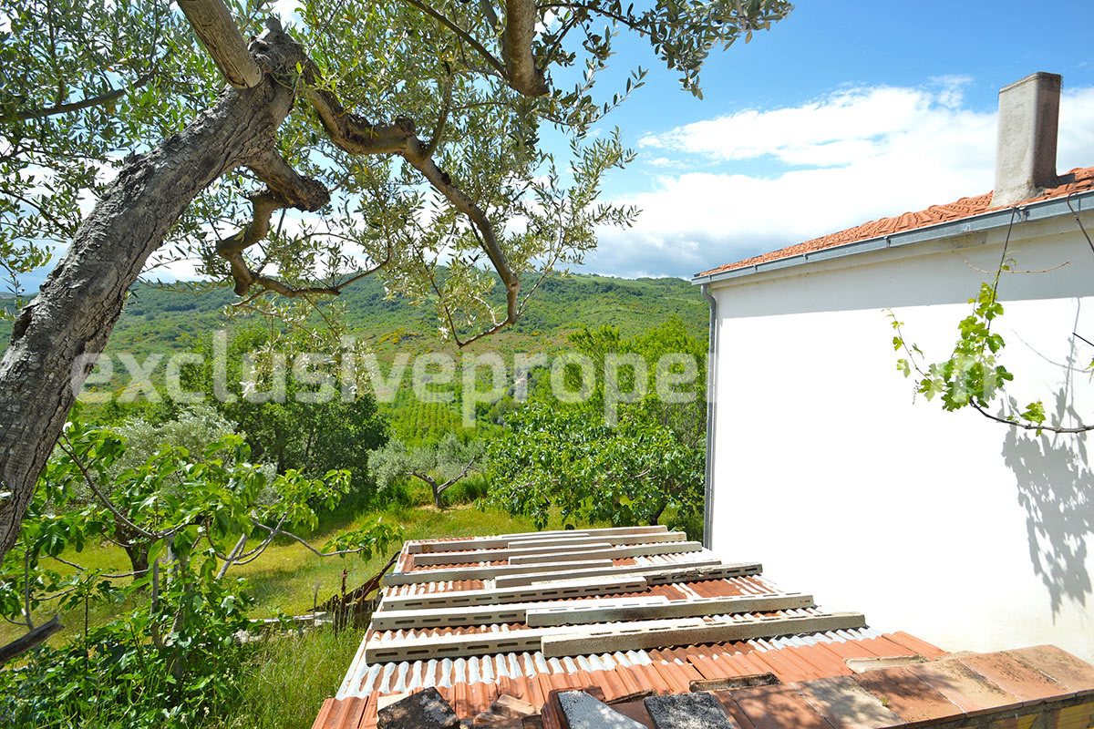 House surrounded by nature with land and centuries-old olive trees for sale 33