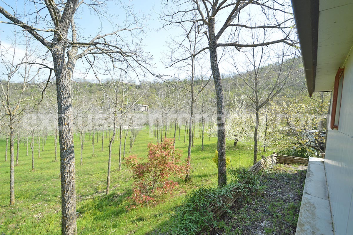 Country House with Large Land - Walnut Trees and Second Building for Sale in Molise