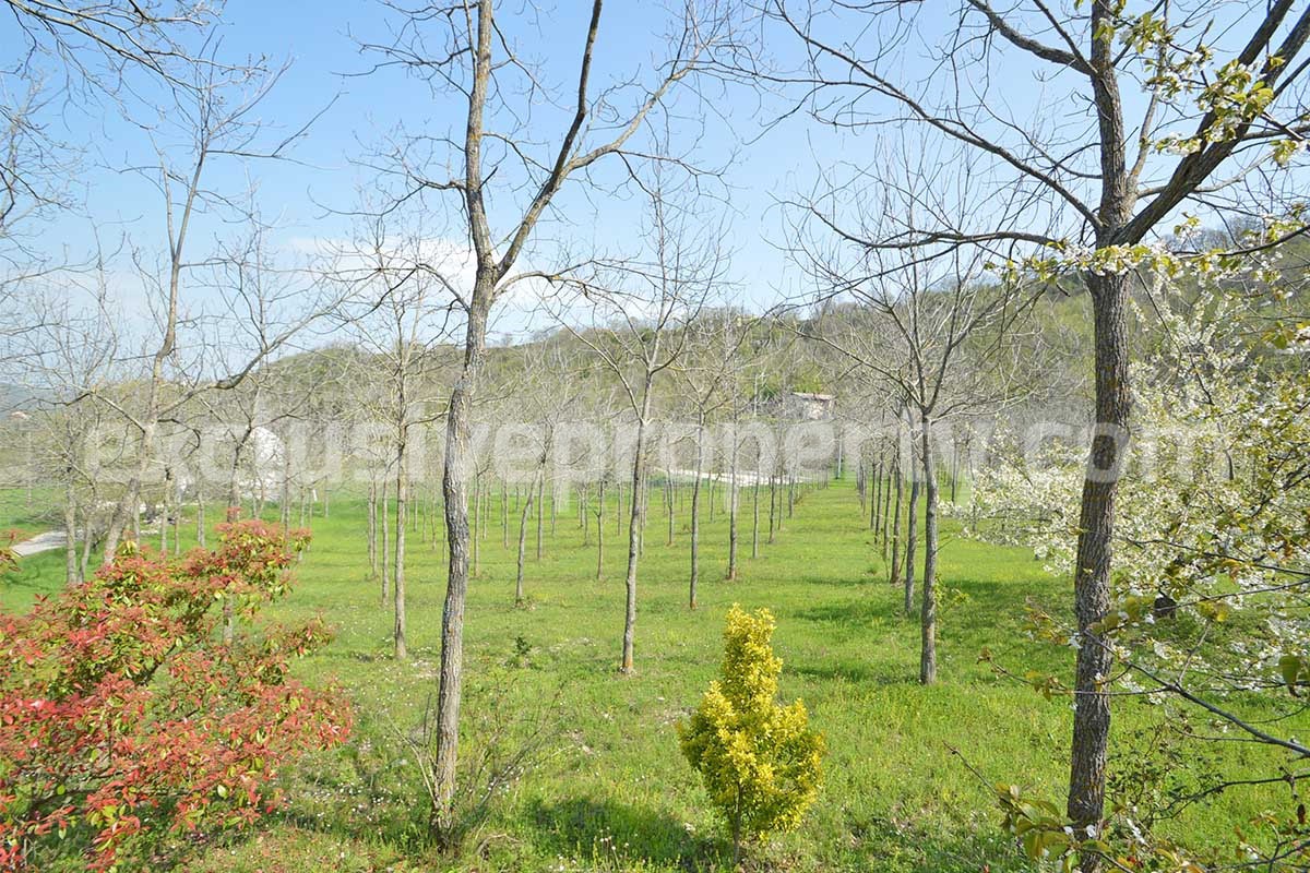 Country House with Large Land - Walnut Trees and Second Building for Sale in Molise