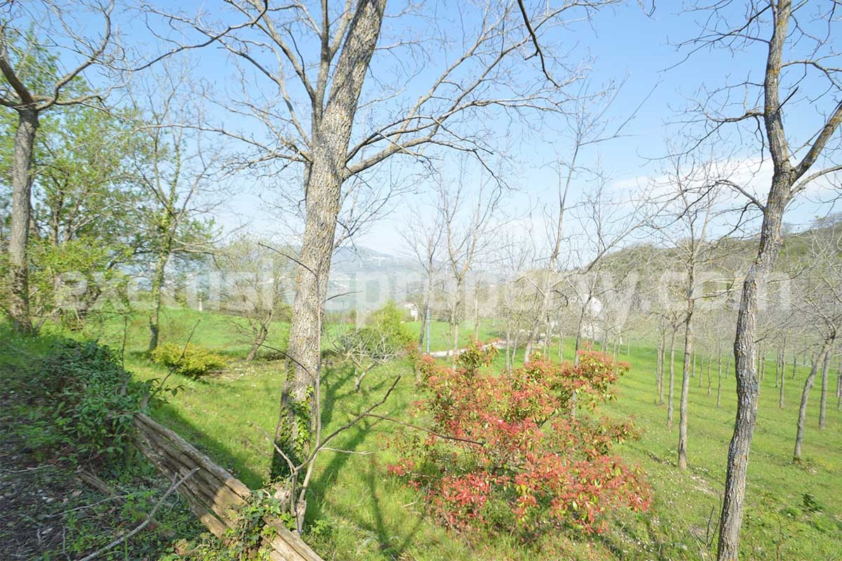 Country House with Large Land - Walnut Trees and Second Building for Sale in Molise
