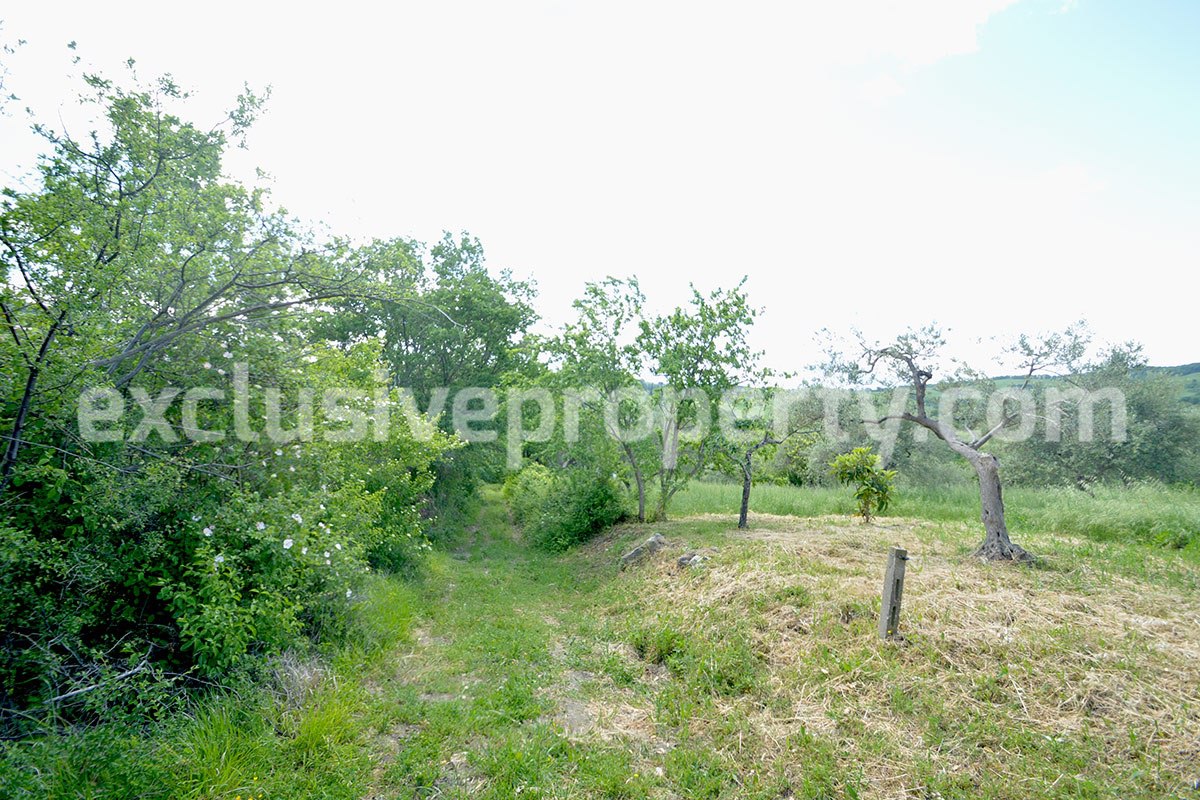 Stone farmhouse with land and well for sale in Italy - Molise Region 4