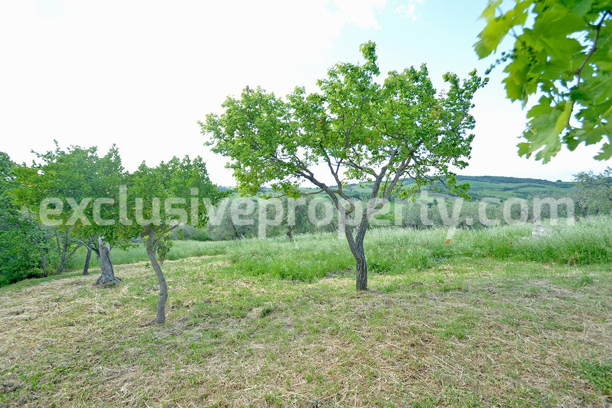 Stone farmhouse with land and well for sale in Italy - Molise Region 17