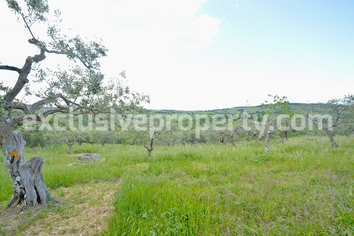 Stone farmhouse with land and well for sale in Italy - Molise Region 23