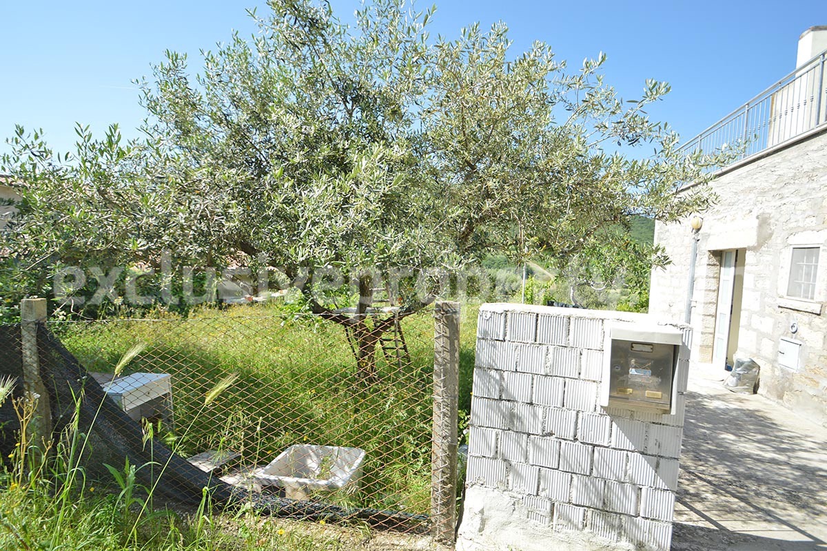 Countryside House with Olive Trees and Terrace for Sale in Guardialfiera - Molise