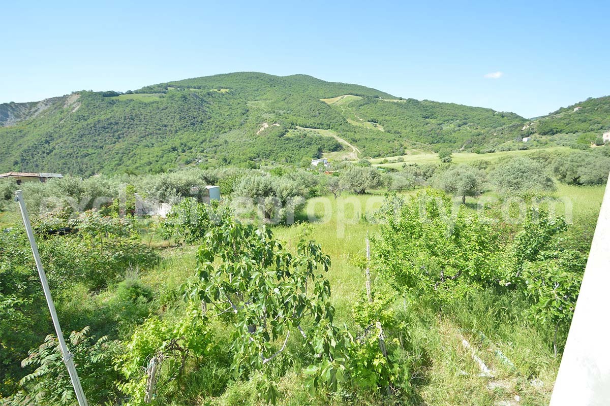 Countryside House with Olive Trees and Terrace for Sale in Guardialfiera - Molise