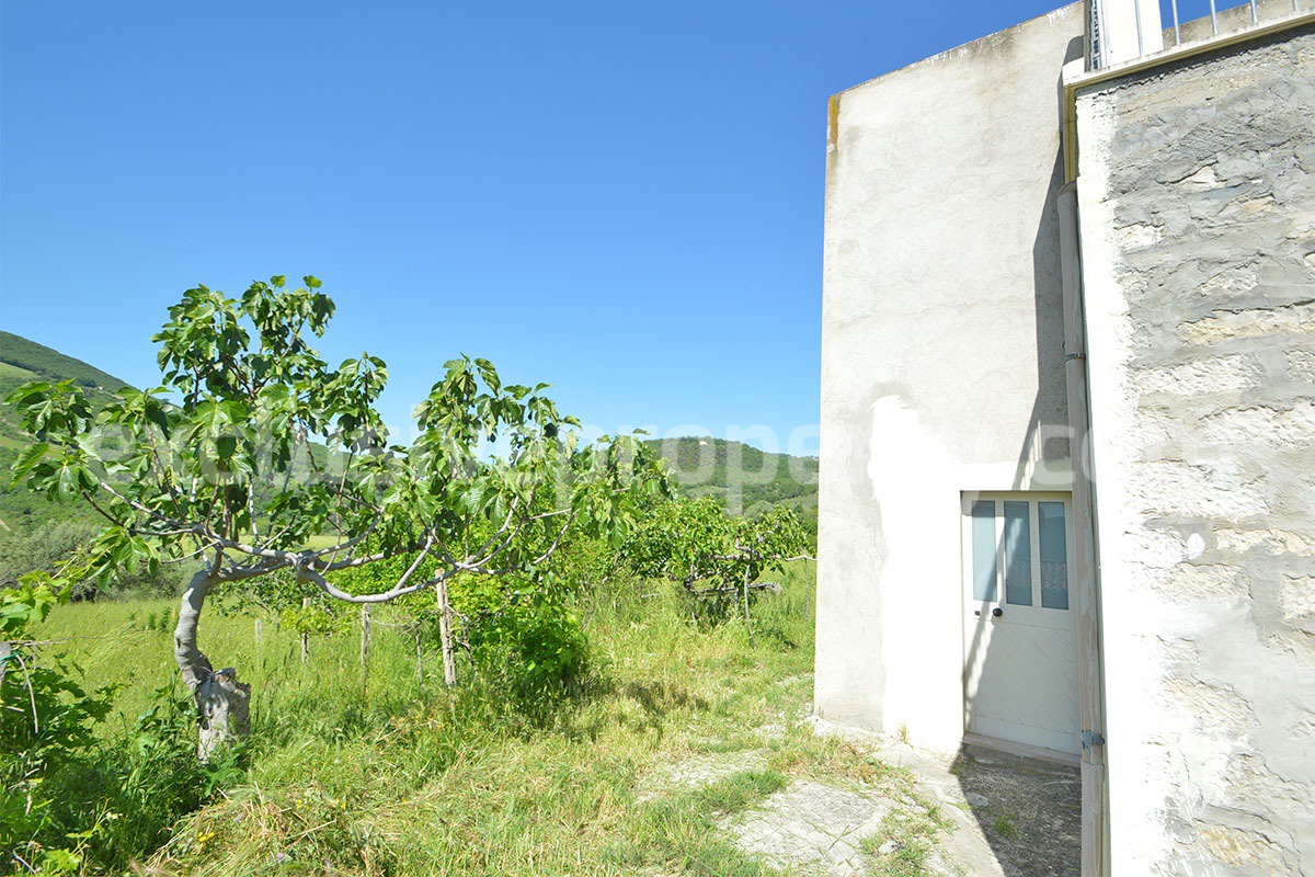 Countryside House with Olive Trees and Terrace for Sale in Guardialfiera - Molise