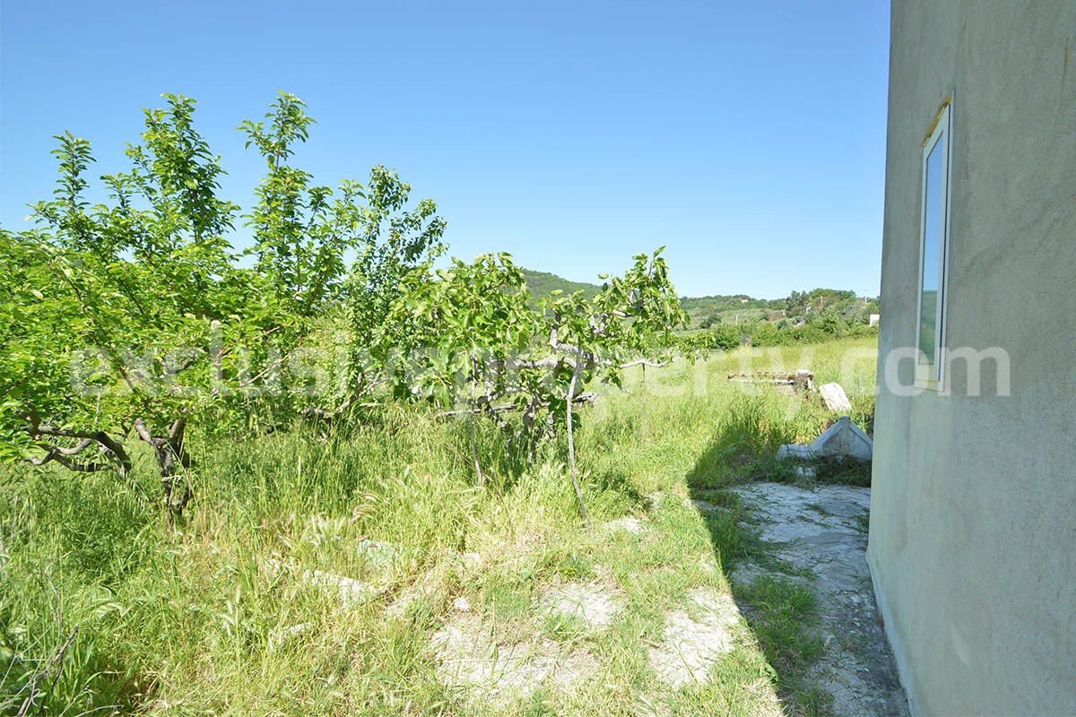Countryside House with Olive Trees and Terrace for Sale in Guardialfiera - Molise