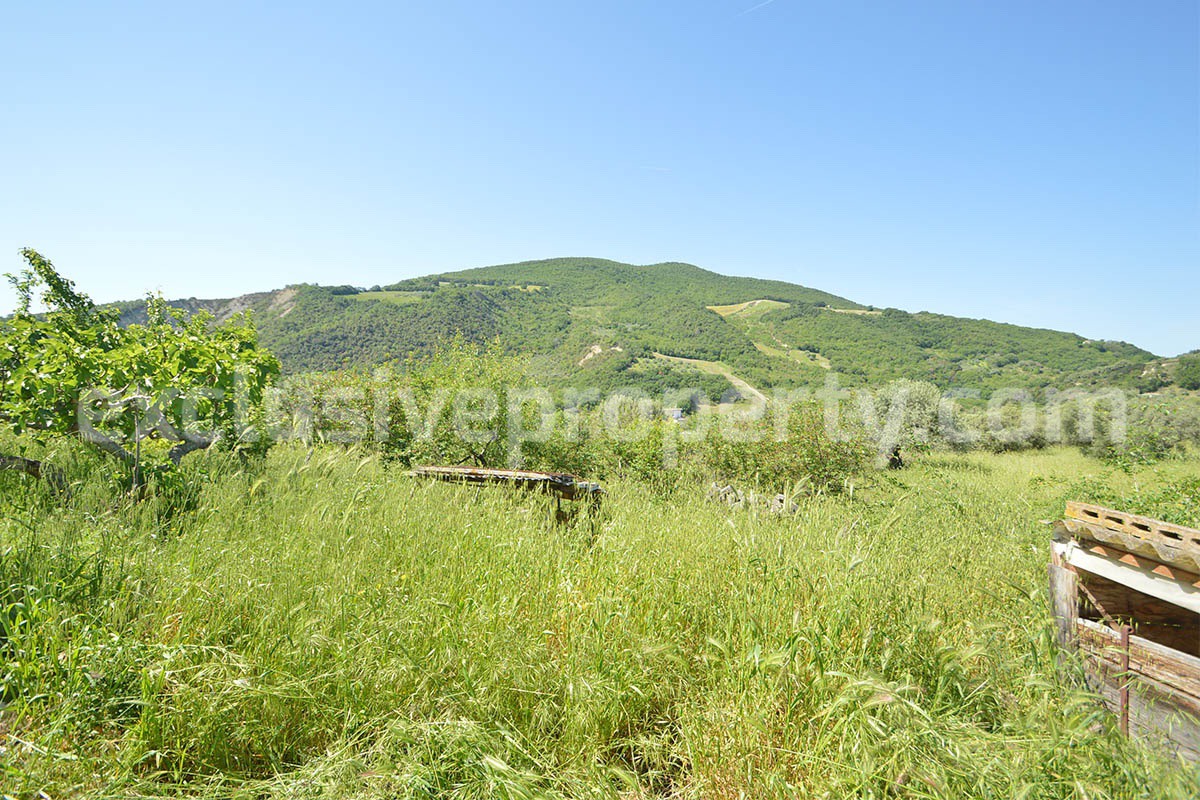 Countryside House with Olive Trees and Terrace for Sale in Guardialfiera - Molise