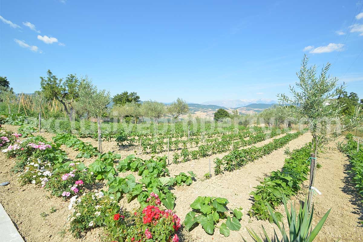 Stone Country Villa with Pool Fenced - Land and Majella Mountain Views for Sale in Abruzzo - Italy
