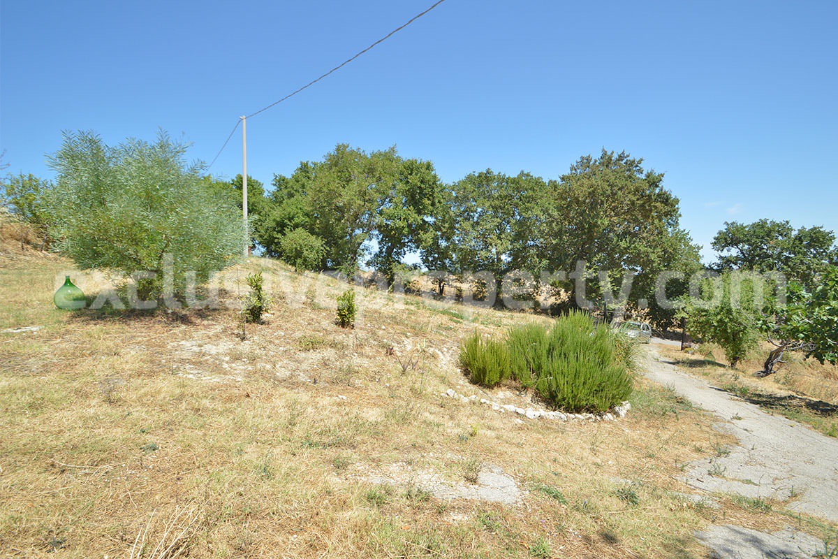 Stone Built Country House for Sale in Guardialfiera - Molise with 47000 Sq m Olive Trees and Panoramic Views