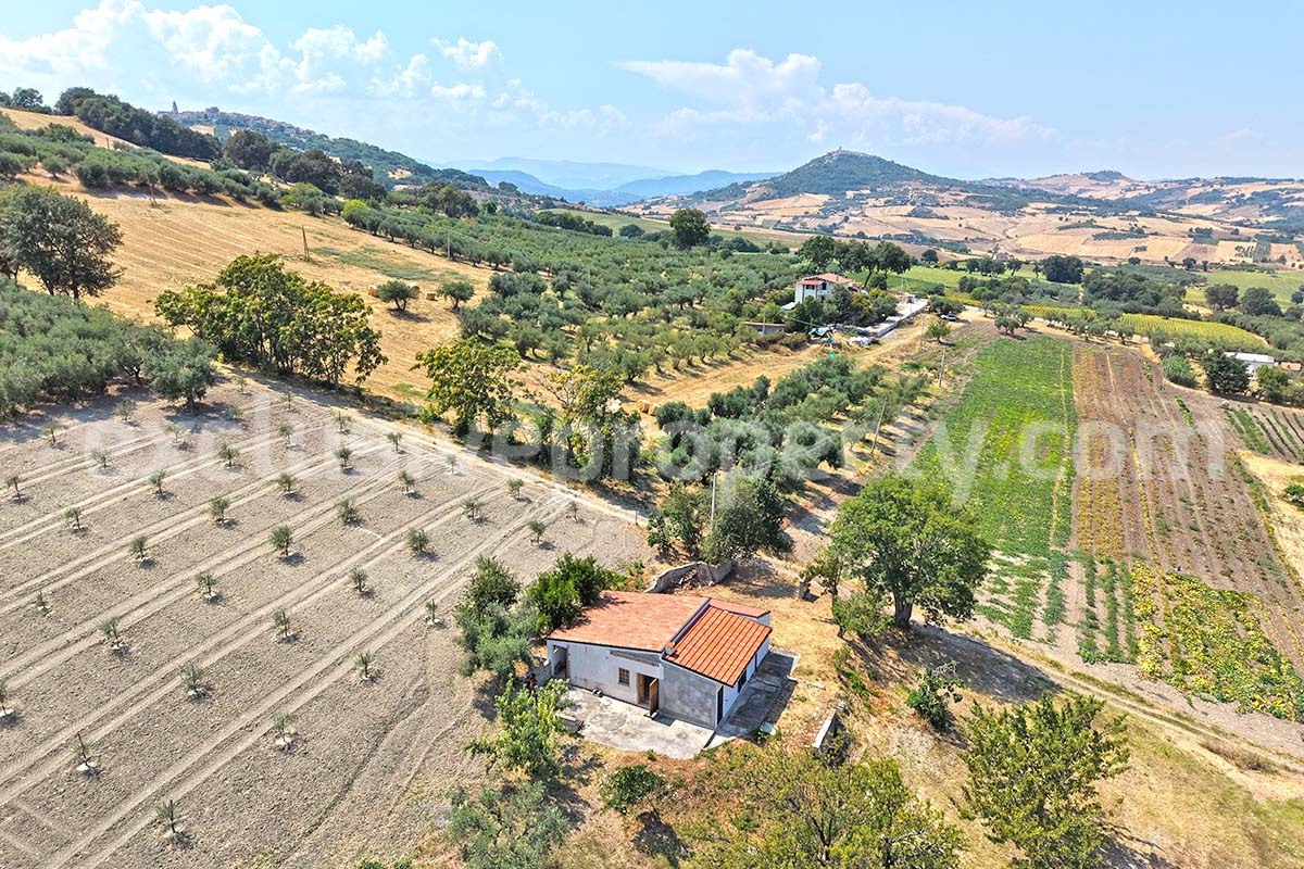 Habitable Country House with Land and 85 Olive Trees for Sale in Palata - Molise -  Near the Adriatic Coast