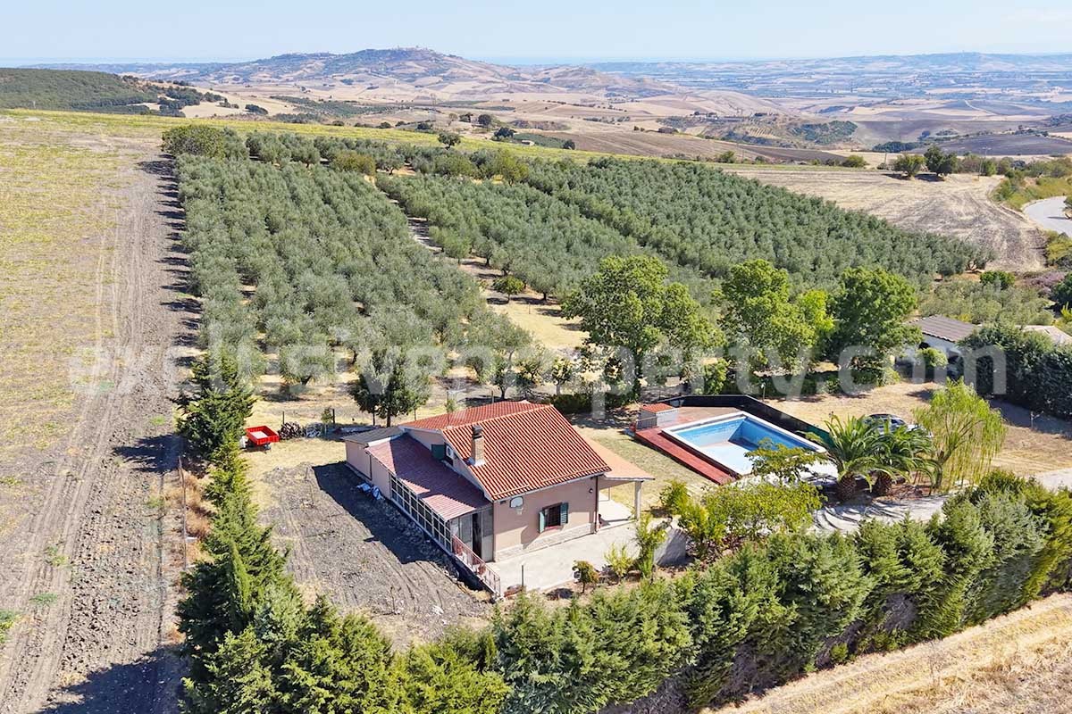 Country House with Pool and Olive Grove for Sale in Palata - Molise - Italy - Near Termoli