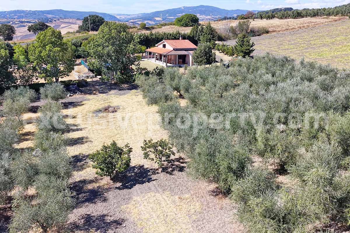 Country House with Pool and Olive Grove for Sale in Palata - Molise - Italy - Near Termoli