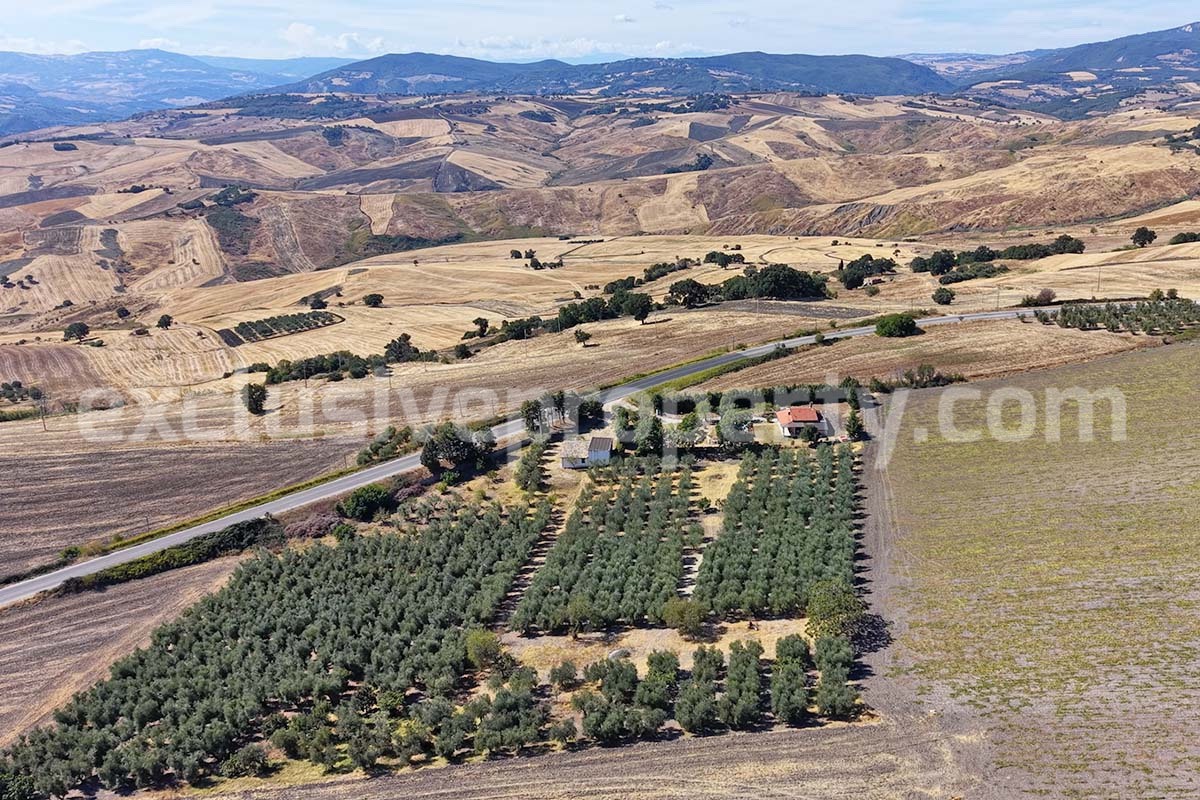 Country House with Pool and Olive Grove for Sale in Palata - Molise - Italy - Near Termoli